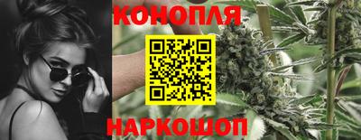 МДПВ Кудрово